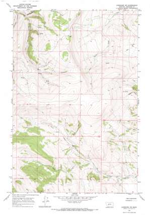 Lingshire Nw topo map