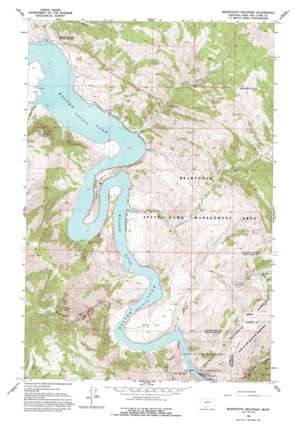 Beartooth Mountain USGS topographic map 46111h8