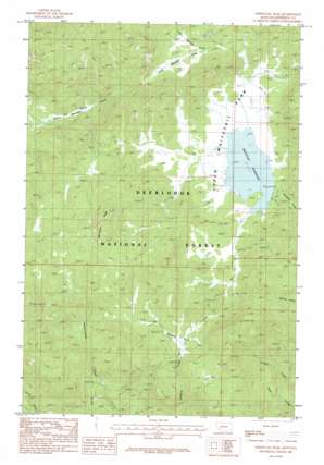 Whitetail Peak USGS topographic map 46112a3