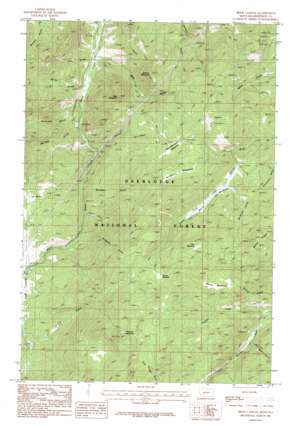 Bison Canyon USGS topographic map 46112b3