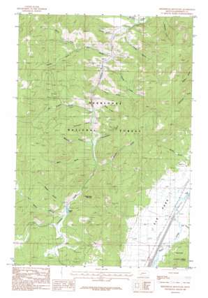 Bison Canyon USGS topographic map 46112b4