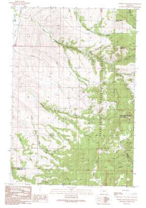 Orofino Mountain USGS topographic map 46112b6
