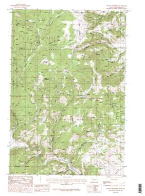 Mount Thompson USGS topographic map 46112c2