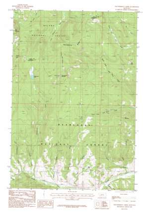 Thunderbolt Creek USGS topographic map 46112c4