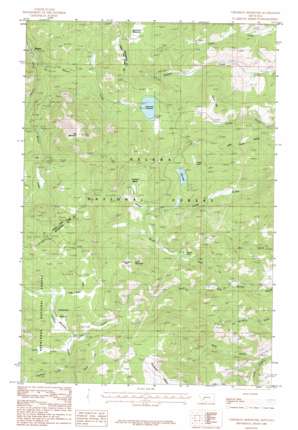 Chessman Reservoir USGS topographic map 46112d2