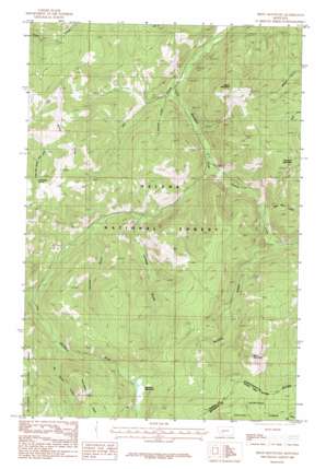 Bison Mountain USGS topographic map 46112d4