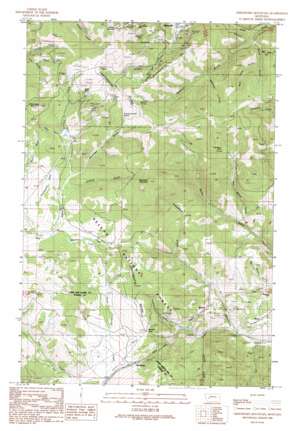 Greenhorn Mountain USGS topographic map 46112f3