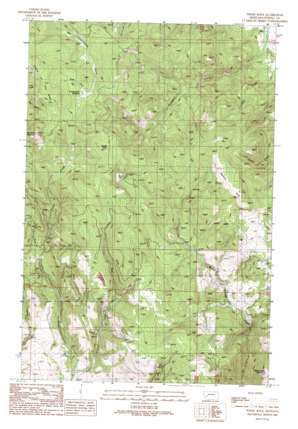 Windy Rock USGS topographic map 46112f7