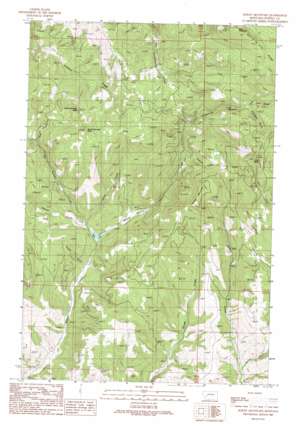 Bailey Mountain USGS topographic map 46112f8