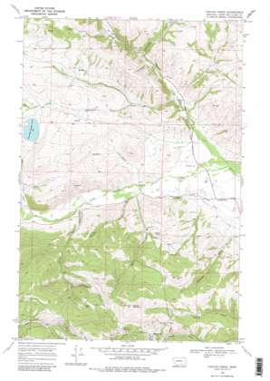 Canyon Creek USGS topographic map 46112g3