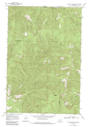 Nevada Mountain topo map