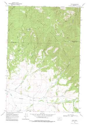 Finn USGS topographic map 46112g6