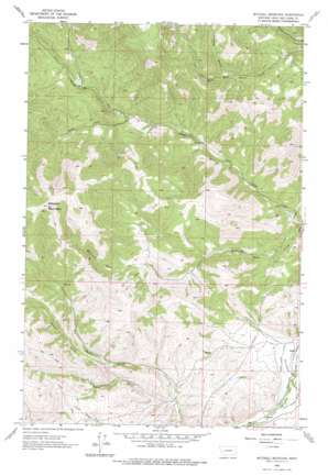 Mitchell Mountain USGS topographic map 46112h2