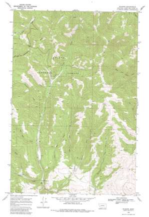 Wilborn USGS topographic map 46112h3