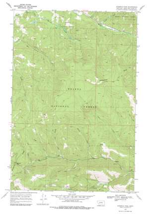 Stemple Pass USGS topographic map 46112h4