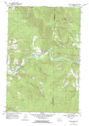 Moose Creek topo map