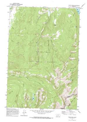 Carpp Ridge USGS topographic map 46113a4