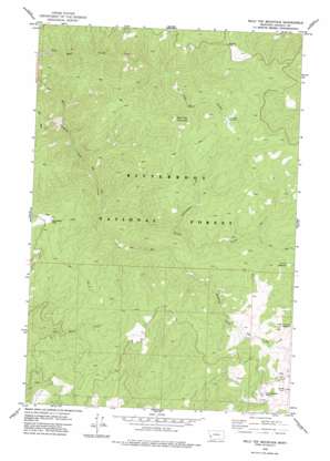 Bald Top Mountain USGS topographic map 46113a8
