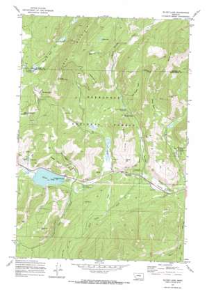 Silver Lake USGS topographic map 46113b2