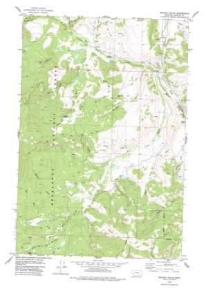 Maukey Gulch USGS topographic map 46113b5
