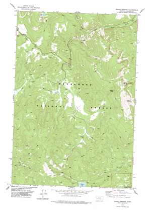 Mount Emerine USGS topographic map 46113b6