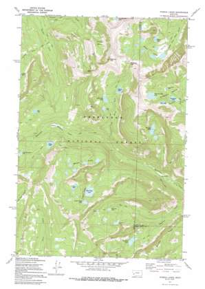 Pozega Lakes USGS topographic map 46113c1