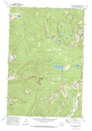 Fred Burr Lake USGS topographic map 46113c2