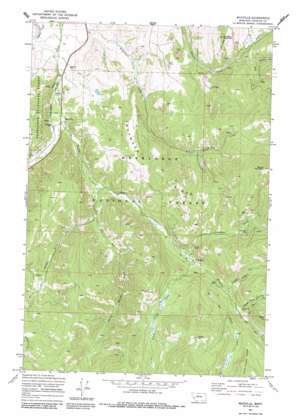 Pikes Peak USGS topographic map 46113d2