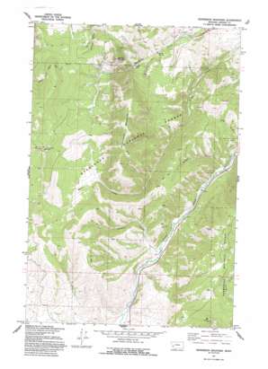 Henderson Mountain topo map