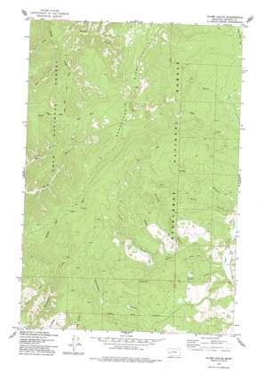 Black Pine Ridge USGS topographic map 46113d5