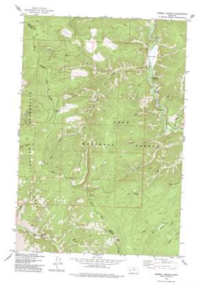 Sawmill Saddle USGS topographic map 46113d7