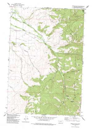 Corley Gulch topo map