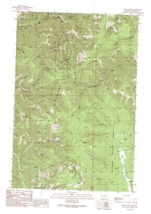 Spink Point USGS topographic map 46113e5