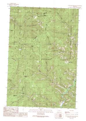 Cleveland Mountain USGS topographic map 46113e7