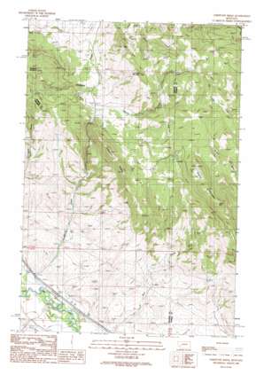 Limestone Ridge USGS topographic map 46113f1