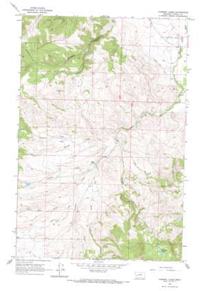 Chimney Lakes USGS topographic map 46113g1
