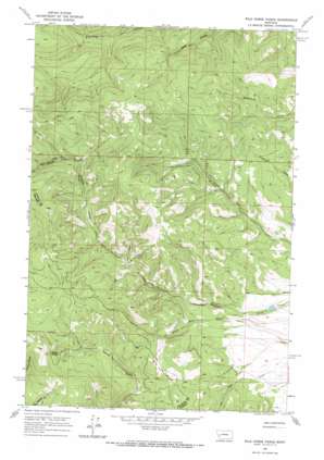 Wild Horse Parks USGS topographic map 46113g2