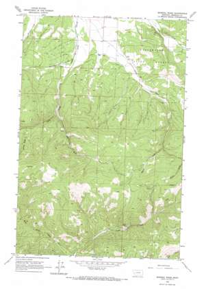 Mineral Ridge USGS topographic map 46113g5