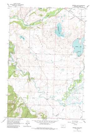 Browns Lake USGS topographic map 46113h1