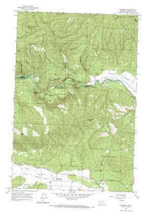Potomac USGS topographic map 46113h5