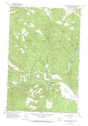 Sunflower Mountain USGS topographic map 46113h6