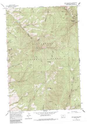 Deer Mountain topo map