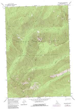 Twin Butte topo map