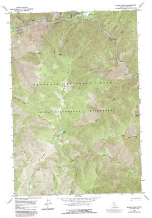 Moose Ridge USGS topographic map 46114a8