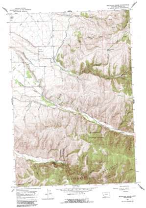 Mountain House USGS topographic map 46114b1