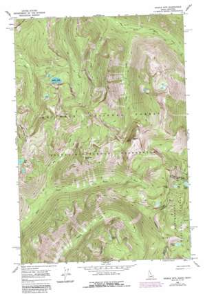 Saddle Mountain USGS topographic map 46114b5