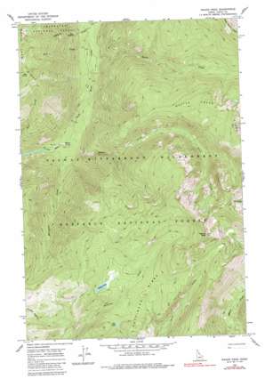 Wahoo Peak USGS topographic map 46114b6