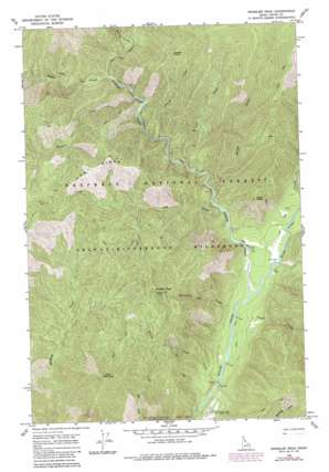 Freeman Peak USGS topographic map 46114b8