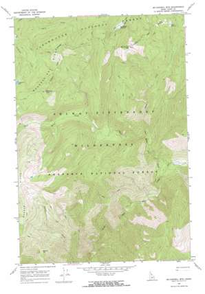 Mcconnell Mountain topo map