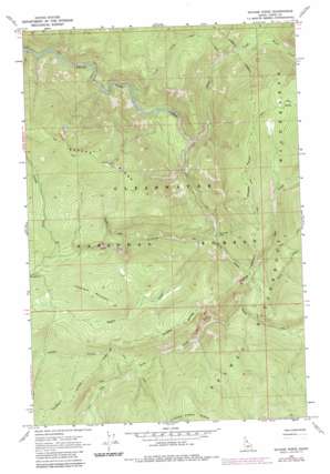 Savage Ridge USGS topographic map 46114d5